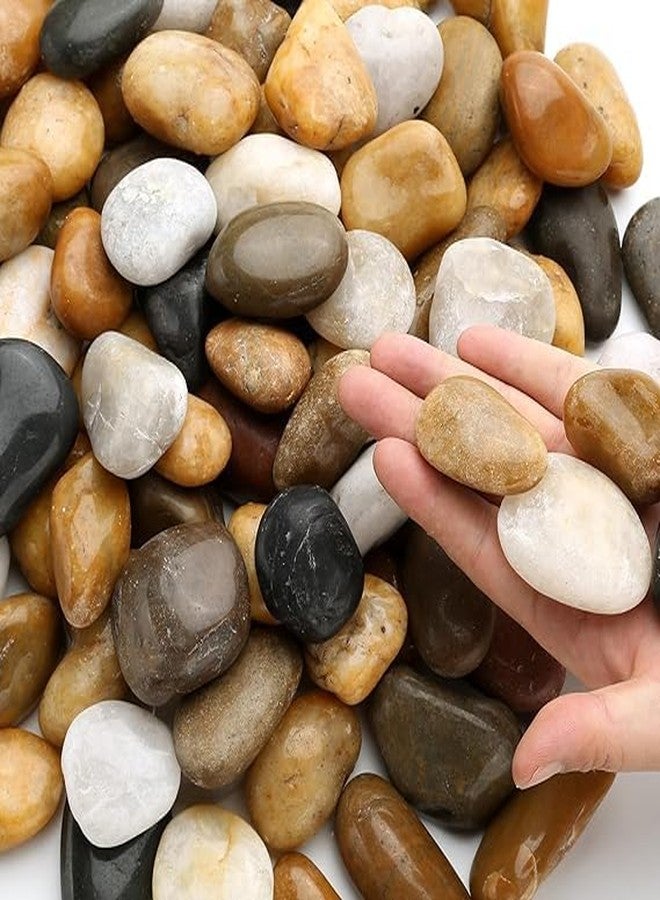 Premsons® Rough Decorative Pebbles - Biege Stones - For Aquariums Garden Lawn Plant Pots Vases Filler Home Office Decor Fish Tank - Smooth & Round River Rocks - Small Size 2.5-4 cm - 1kg Pack - Image 2